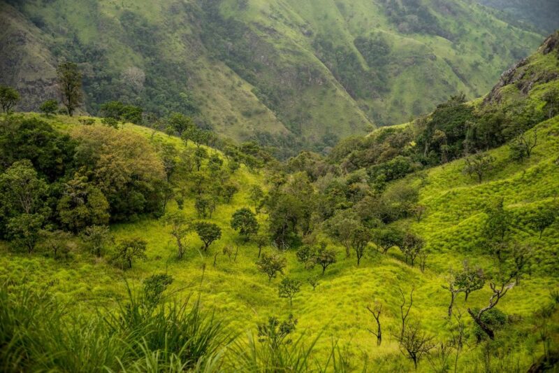 ATV Ride in Ella - Scenic Trail Highlights