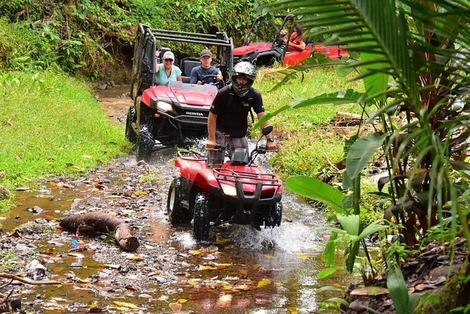 ATV River, Beach, Jungle Adventure and Crocodiles Hotspot From San Jose - Crocodile Observation