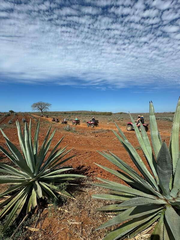 ATV & TEMAZCAL COMBO TOUR - What Past Travelers Say