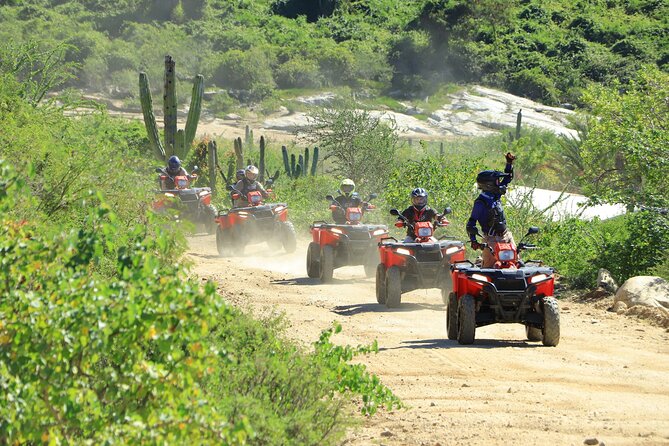 ATV Tour, Camel Ride, Tequila Tasting and Mexican Buffet Lunch - Activities Included