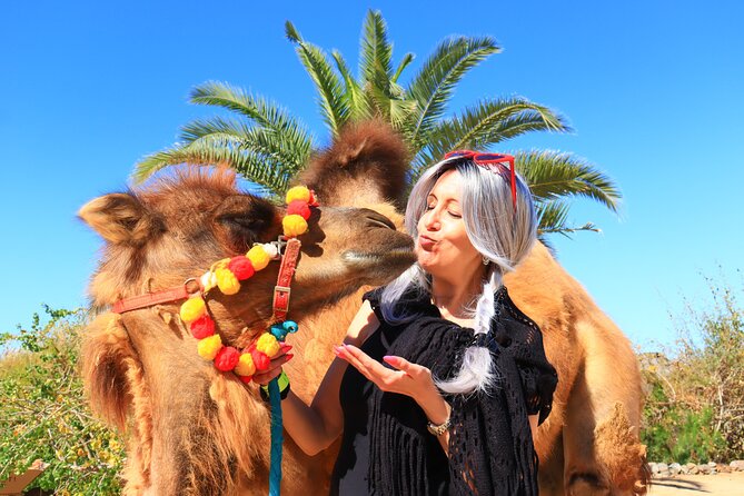 ATV Tour, Camel Ride, Tequila Tasting and Mexican Buffet Lunch - Requirements and Limitations