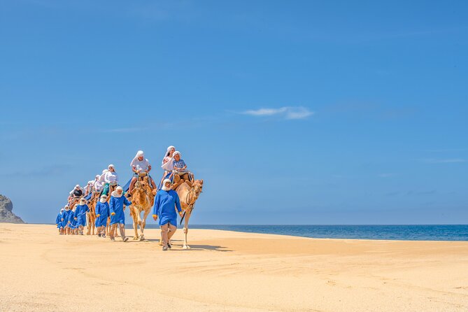 ATV Tour, Camel Ride, Tequila Tasting and Mexican Buffet Lunch - Camel Safari Adventure