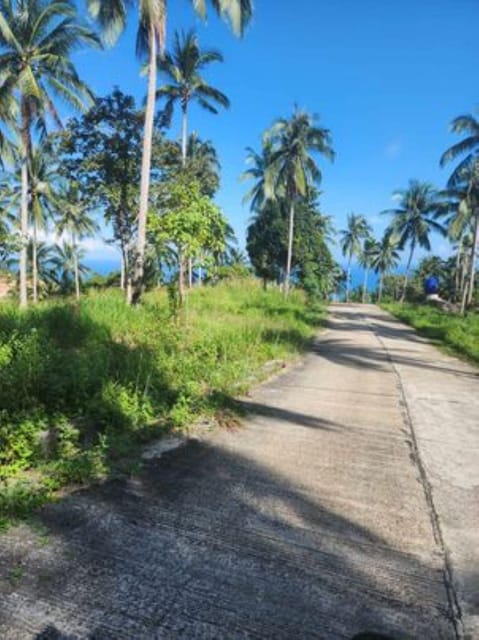 ATV Tour in Koh Phangan - What to Expect