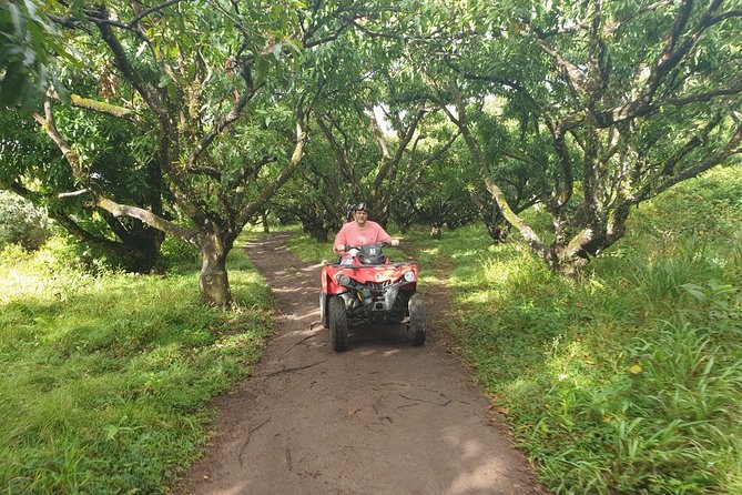 ATV Tour of St Kitts - Inclusions and Transportation