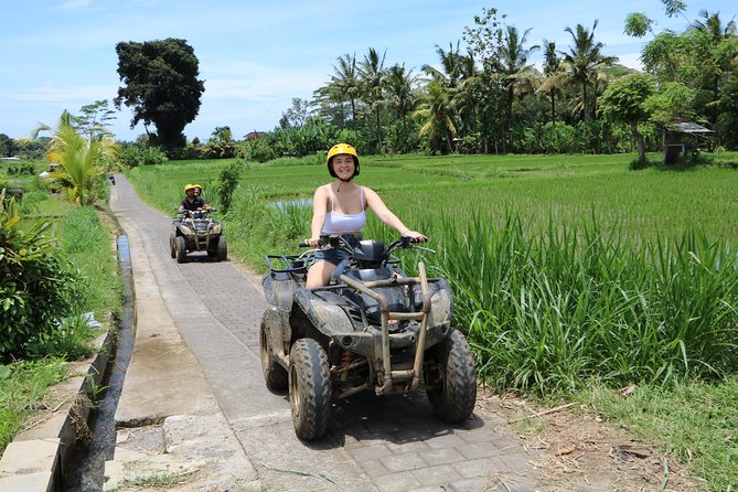 ATV Tour With Monkey Forest Experience in Bali - Monkey Forest Exploration