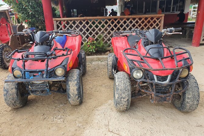 ATV TOURS Half Day Tours / and Plus - Lowest Price Guarantee