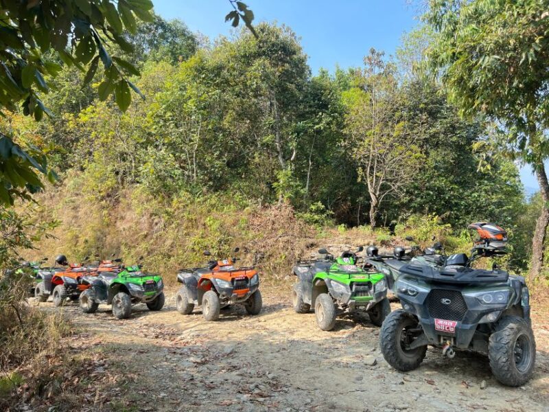 ATV Tours: Rev Up Your Adventure - Customer Reviews