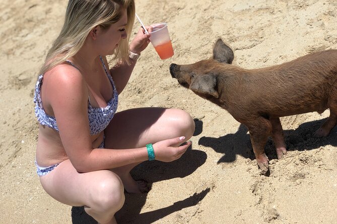 ATV Tour+Swimming Pigs+Snorkeling Bundle (Beach Break + Lunch) - Pickup and Meeting Details