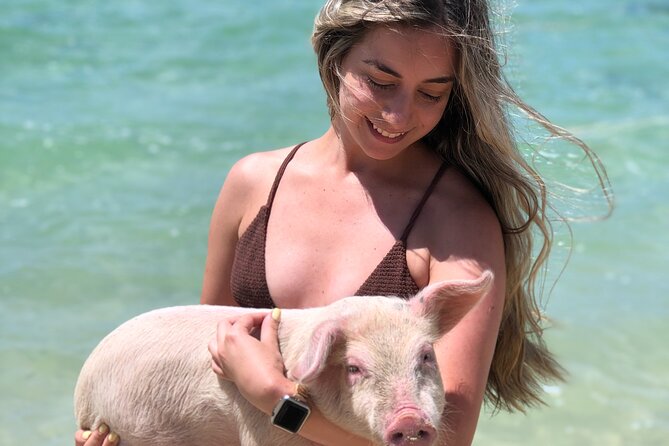 ATV Tour+Swimming Pigs+Snorkeling Bundle (Beach Break + Lunch) - Value for Money Considerations