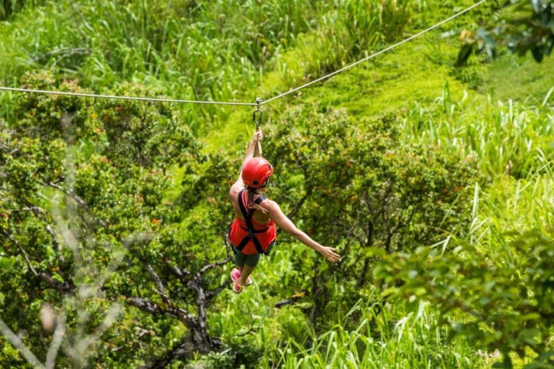 Atv + Zip Lines - Booking Flexibility