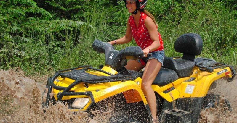 Atv , Zipline and Cenote Swim Experience in the Jungle! - Experience Highlights