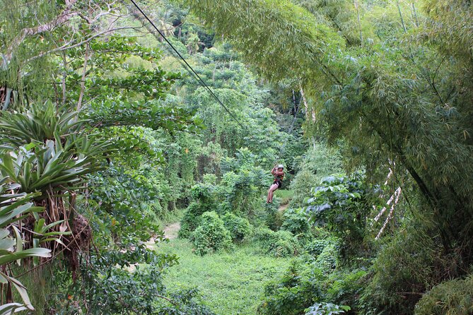 ATV, Zipline, River Tubing and Island Gully Falls - Unique Excursions and Activities