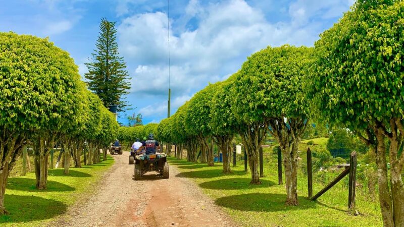 ATV's Adventure Experience Review - Booking and Payment