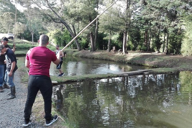 Atvs (All Terrain Vehicles) - Key Points