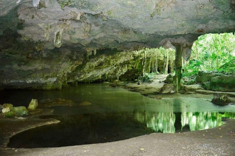 Atv's Cenotes - Tour Overview