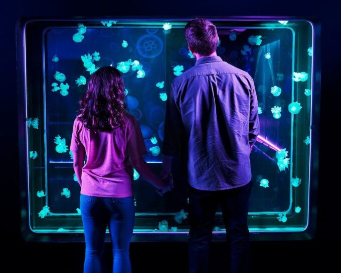 Auburn Hills: Legoland and Sea Life Aquarium Combo Ticket - Cancellation and Payment Options