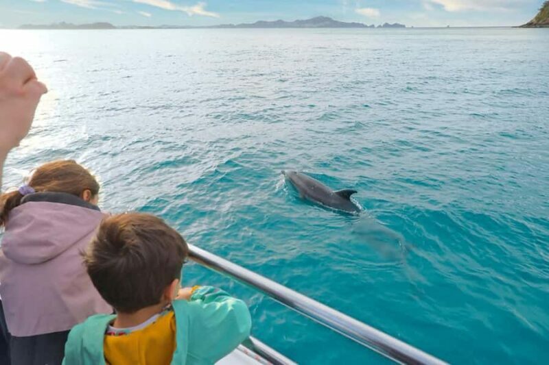 Auckland: 2-Day Bay of Islands Small Group Tour with Cruise - FAQ