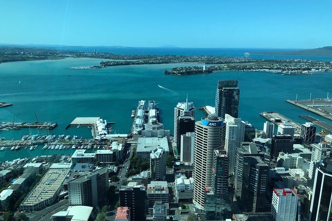 Auckland Airport to Whangaparaoa - Gulf Harbour Luxury Transfers - About the Provider