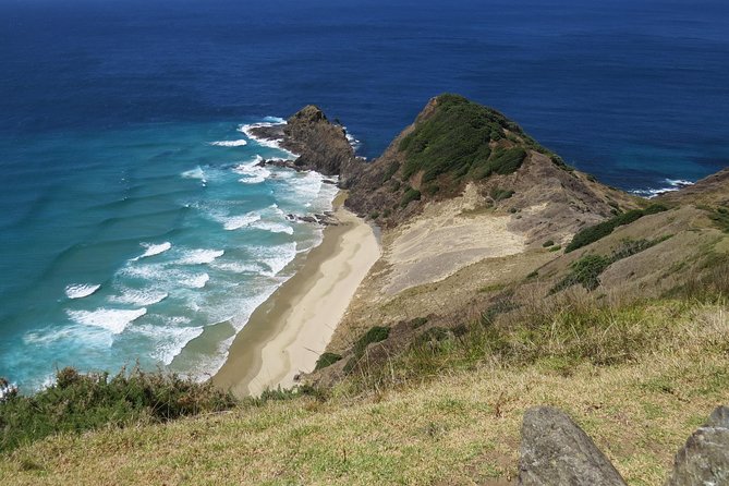 Auckland Airport Transfers - Pickup and Drop-off Details