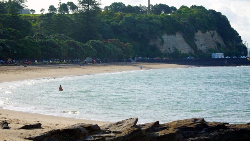 Auckland All-Day Trip With Lunch - Itinerary Highlights