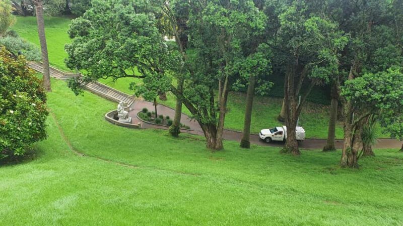 Auckland: Auckland City Tour 4 hours private - Why Choose This Tour?