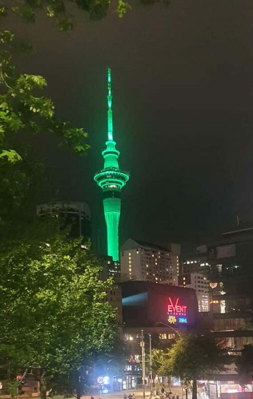 Auckland: Auckland City Tour 4 hours private - What Makes This Tour Stand Out?