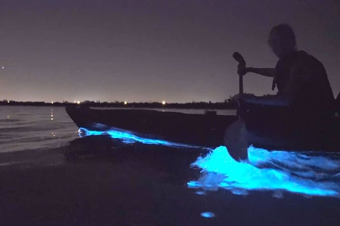 Auckland Bioluminescence Kayak Tour - Booking Details