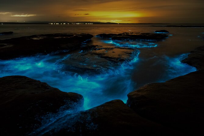 Auckland Bioluminescence Kayak Tour - Traveler Reviews