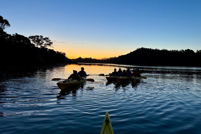Auckland Bioluminescence Kayak Tour - What to Bring