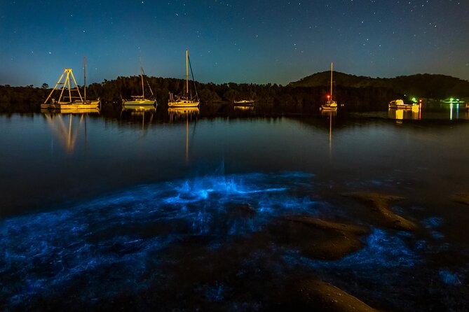 Auckland Bioluminescence Kayak Tour - Additional Considerations