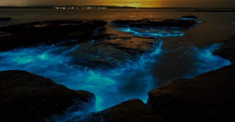 Auckland: Bioluminescence Kayak Tour - Itinerary and Locations