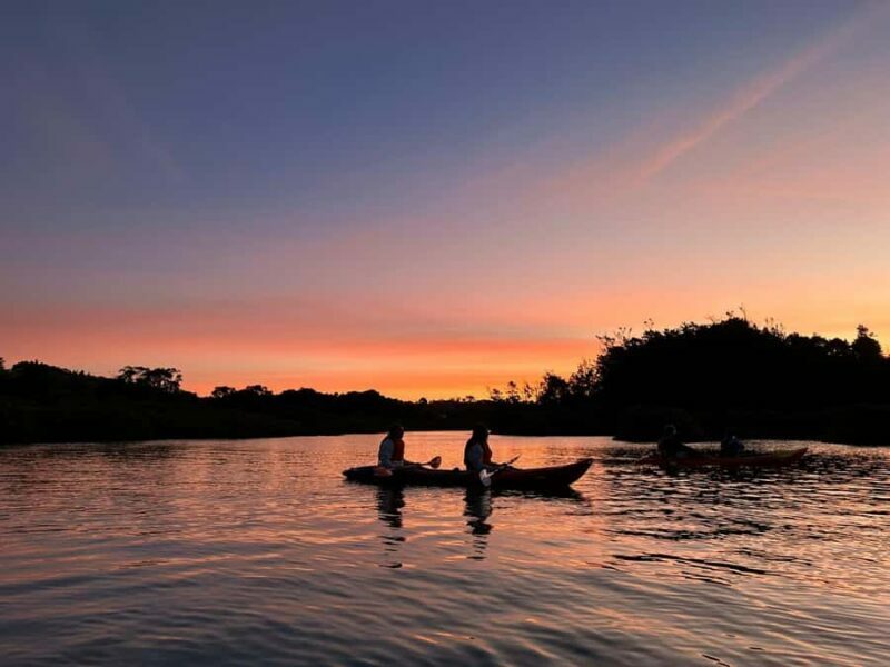 Auckland: Bioluminescence Kayak Tour with Guide - An Introduction to the Experience