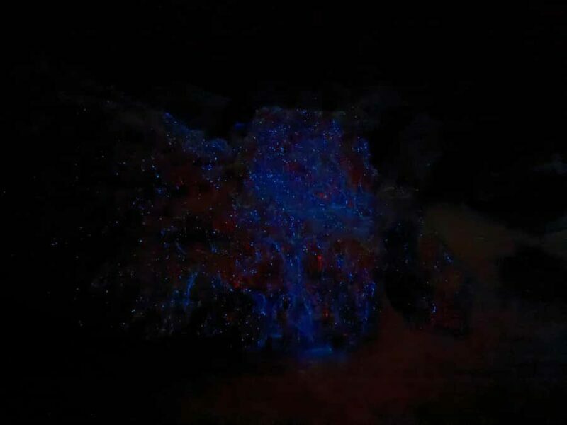 Auckland: Bioluminescence Kayak Tour with Guide - The Experience of Seeing Bioluminescence