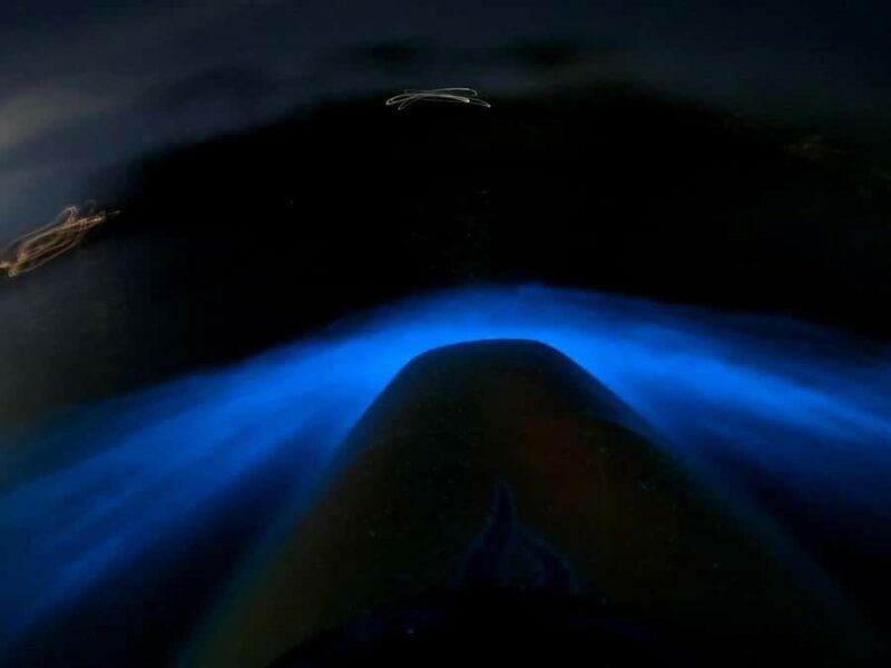 Auckland: Bioluminescence Kayak Tour with Guide - Final Thoughts: Is This Tour Worth It?