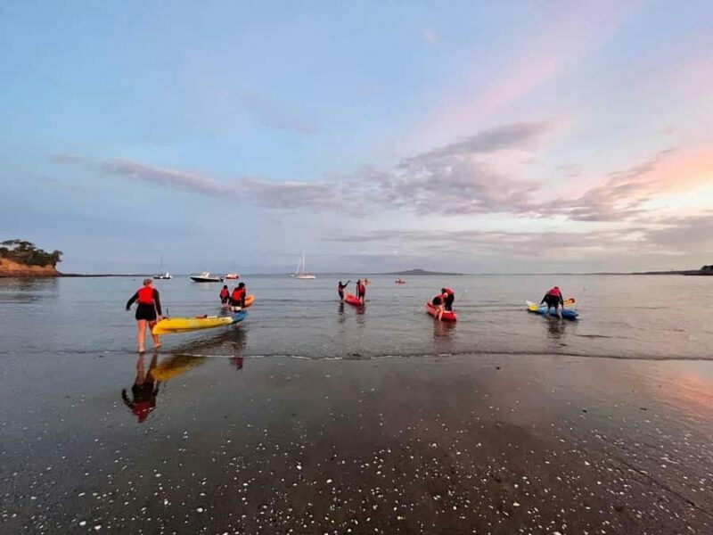 Auckland: Bioluminescence Kayak Tour with Guide - Final Words