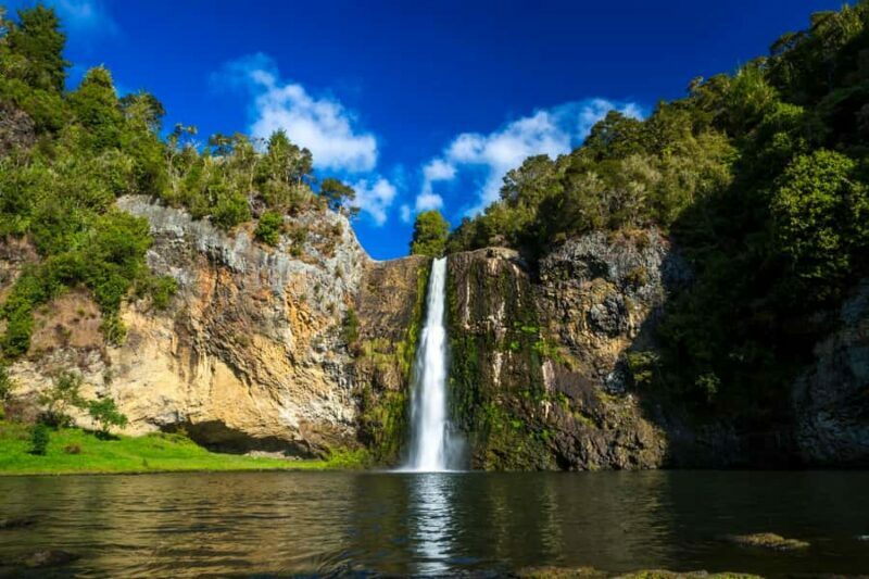 Auckland: Birdwatching, Hiking & Waterfalls Tour - Key Points