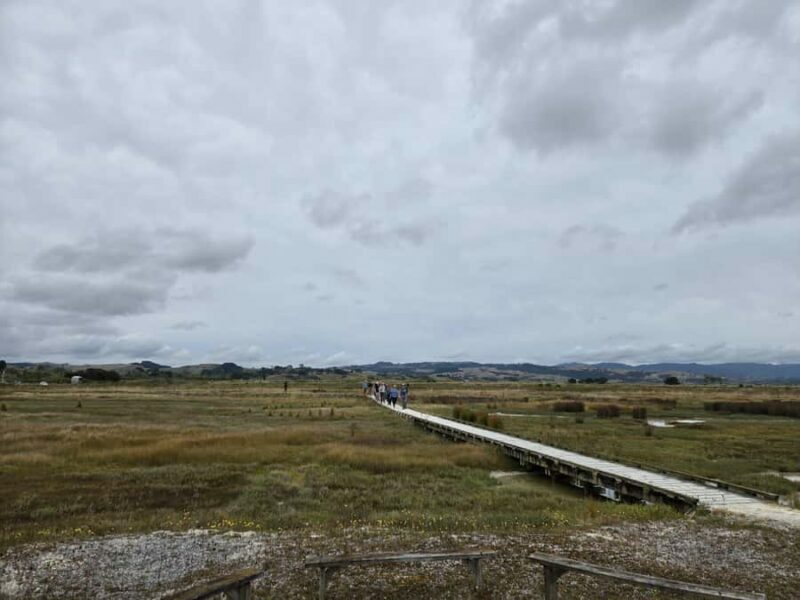 Auckland: Birdwatching, Hiking & Waterfalls Tour - Afternoon in Hunua Ranges Regional Park