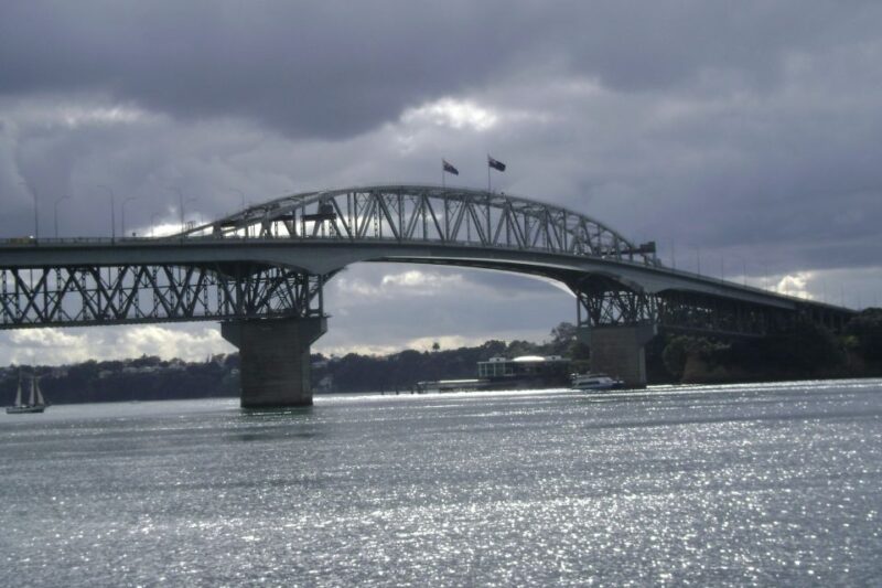 Auckland City, Beaches & Rainforest Premium Small Group Tour - Rainforest Adventure