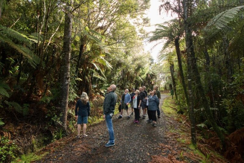 Auckland City, Beaches & Rainforest Premium Small Group Tour - Visitor Centre Insights
