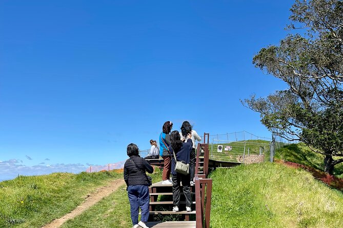 Auckland City Express - Tour Features