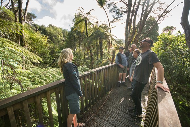 Auckland City Highlights, Afternoon Piha Beach & Rainforest Tour - Afternoon Wilderness Exploration