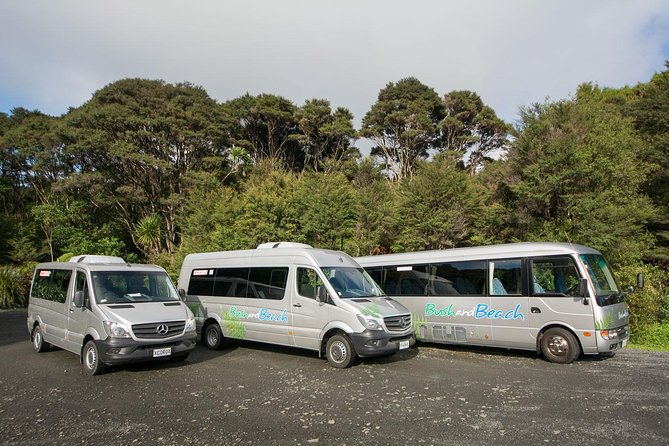 Auckland City Highlights, Afternoon Piha Beach & Rainforest Tour - Visiting Arataki Visitor Centre