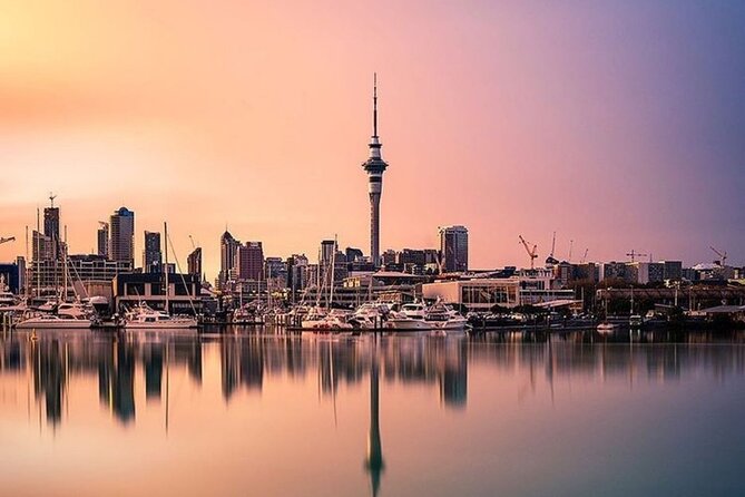 Auckland City Highlights Full Day Tour - Pickup Information