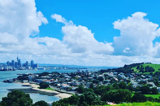 Auckland City Highlights Full Day Tour - Tour Accessibility and Recommendations