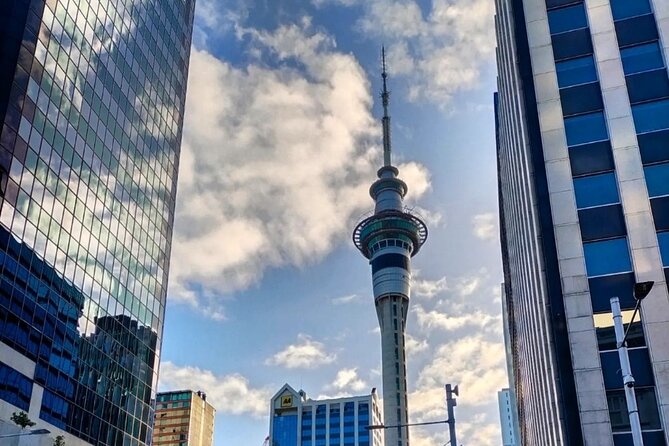 Auckland City Highlights Full Day Tour - Customer Feedback