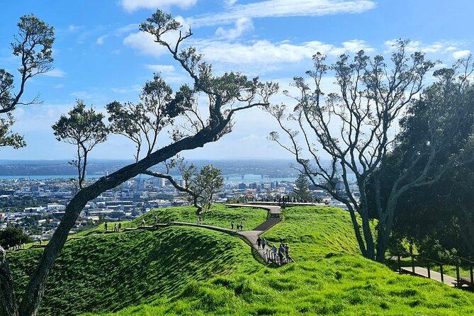Auckland City Highlights Half Day Tour - Tour Guide Experience and Reviews
