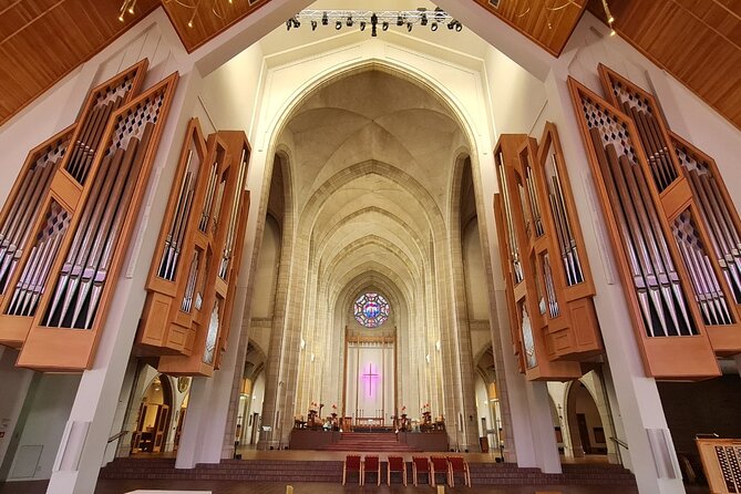 Auckland City Highlights Half Day Tour - Pricing and Special Offers