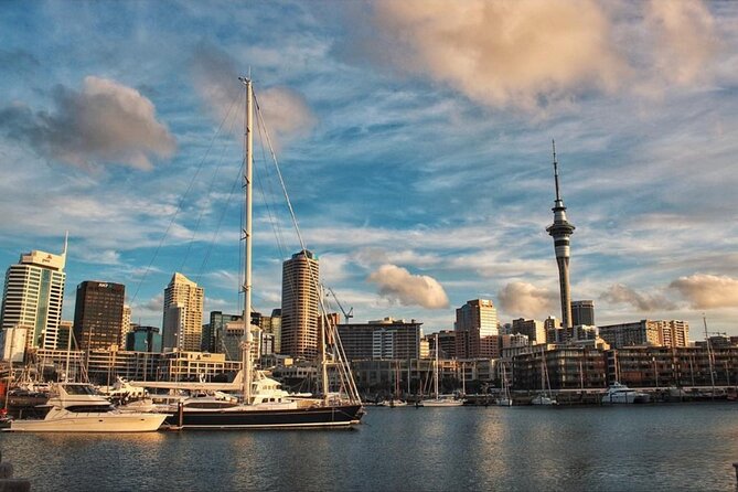 Auckland City Highlights Half Day Tour - Auckland Harbour Bridge