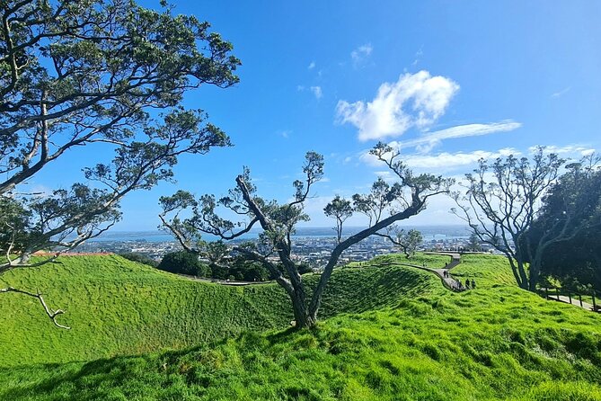 Auckland City Highlights Half Day Tour - Mount Eden