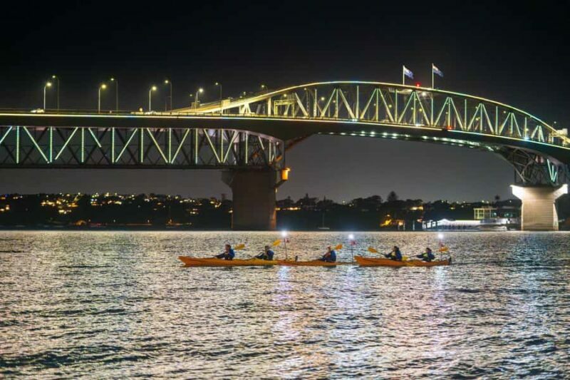 Auckland: City Lights Night Kayak Tour - What Is the Auckland City Lights Night Kayak Tour?